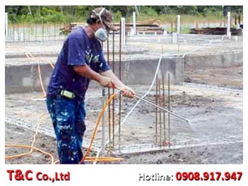 Phòng chống mối công trình mới xây dựng - Mạng làm giàu