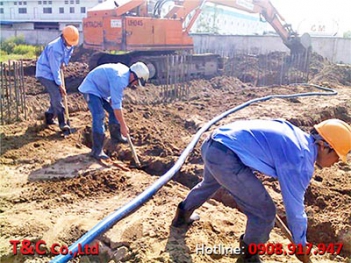 Phòng chống mối cho công trình xây dựng - Mạng làm giàu